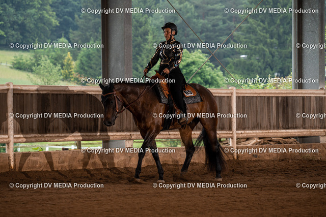 Erbach Tag 4-305 | dv-media-shop - Realized with Pictrs.com