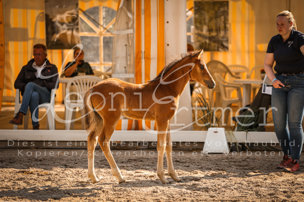 11.DoRP00157 | Leoni Ertmer Photography - Realisiert mit Pictrs.com