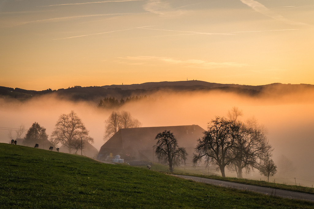 Blick zum Feldberg | Bauernhaus in St. Märgen mit Blick zum Feldberg - Realisiert mit Pictrs.com