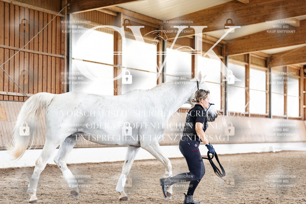 CK908193 | Turnierfotografie Pferdefotografie Trier Rheinland-Pfalz Pferdesport Reitsport Tierfotografie Sportfotografie Pferdevideo Pferdevideografie Equestrianvideography equestrianphotography  - Realisiert mit Pictrs.com