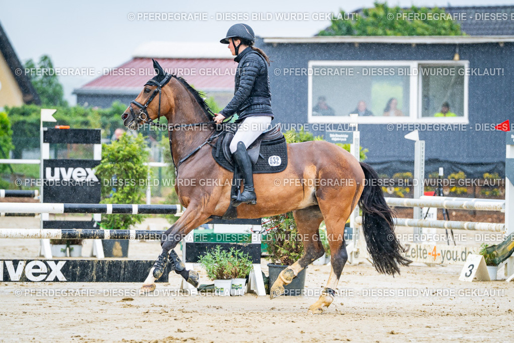 DSC03085 | Pferdegrafie