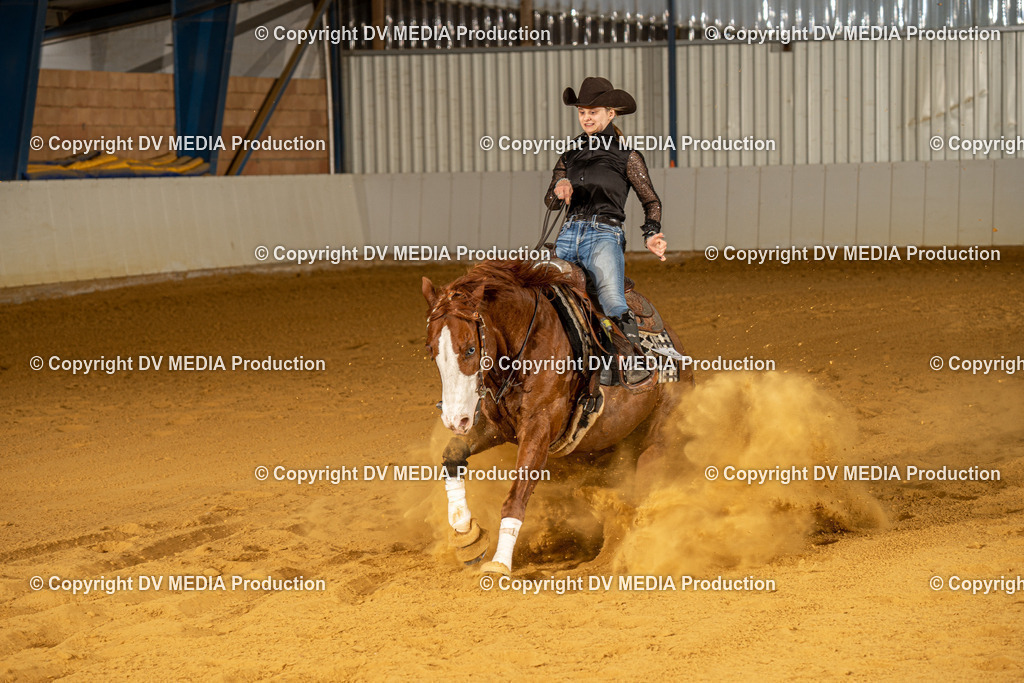 MIT00572 | dv-media-shop - Realisiert mit Pictrs.com