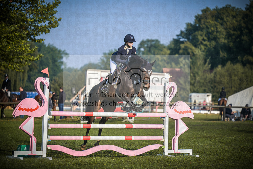 DOS_0497 | Entdecke hochwertige Reitturnierfotos von Foto Oger. Professionell, emotional und authentisch – jetzt Lieblingsmomente im Shop bestellen.Deutschlandweite Turnierfotografie. - Realisiert mit Pictrs.com