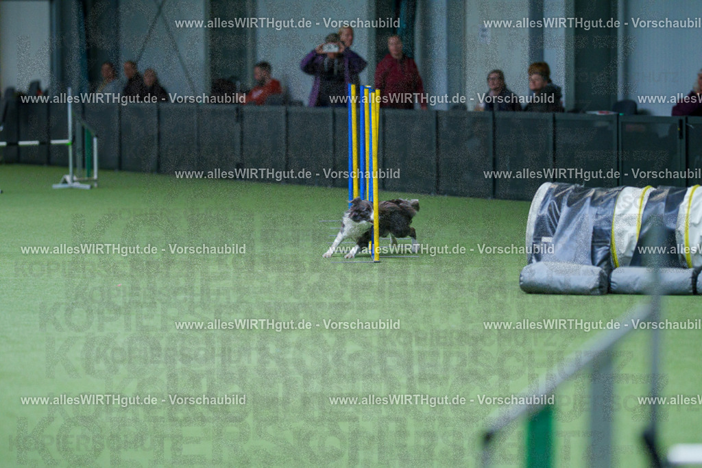 @allesWIRTHgut_Tierfotografie - www.allesWIRTHgut.de - 2604251109-7R501343 | Professionelle Tierfotografie in Mönchengladbach von Daniel Wirth (allesWIRTHgut). Liebevolle & natürliche Bilder von Hunden & Katzen für unvergessliche Erinnerungen.