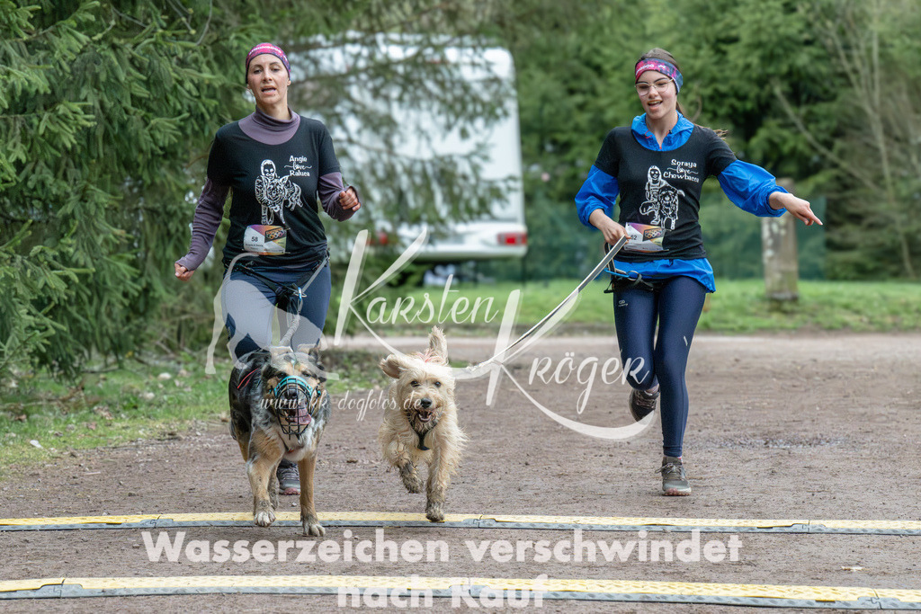 0928_ZZ91371 | kk-dogfotos