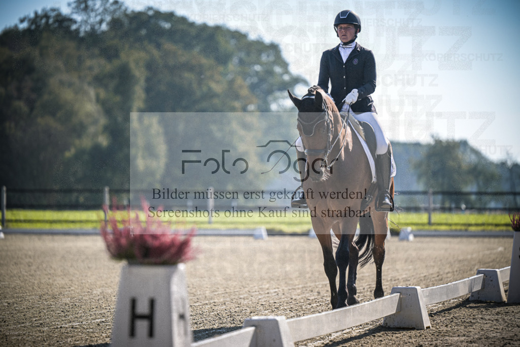 DOS_0028 | Entdecke hochwertige Reitturnierfotos von Foto Oger. Professionell, emotional und authentisch – jetzt Lieblingsmomente im Shop bestellen.Deutschlandweite Turnierfotografie. - Realisiert mit Pictrs.com