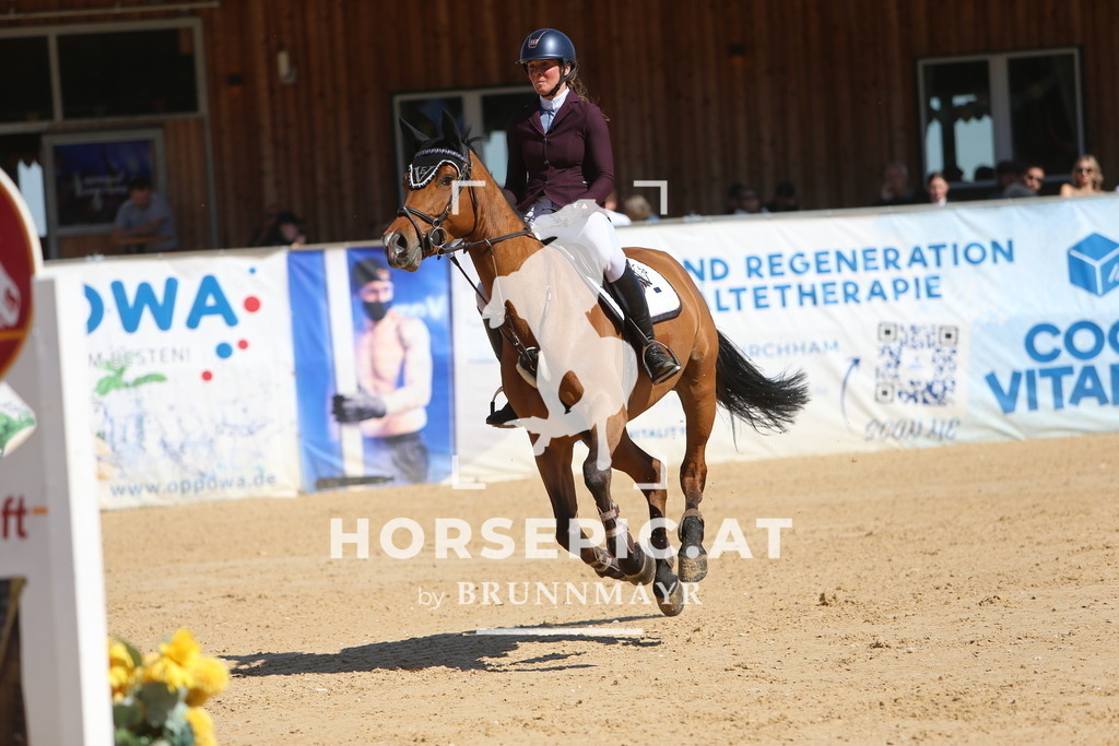 DL2Q5346 | Willkommen bei Brunnmayr - Design & Fotografie – Ihrem Spezialisten für Reitturniere und Pferdeveranstaltungen in Oberösterreich, Salzburg und Bayern! Seit über 17 Jahren sind wir leidenschaftlich dabei.