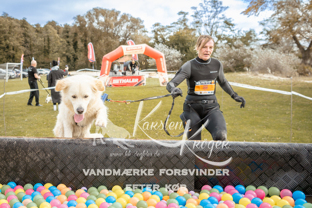1345_ZZ92098-2 | kk-dogfotos