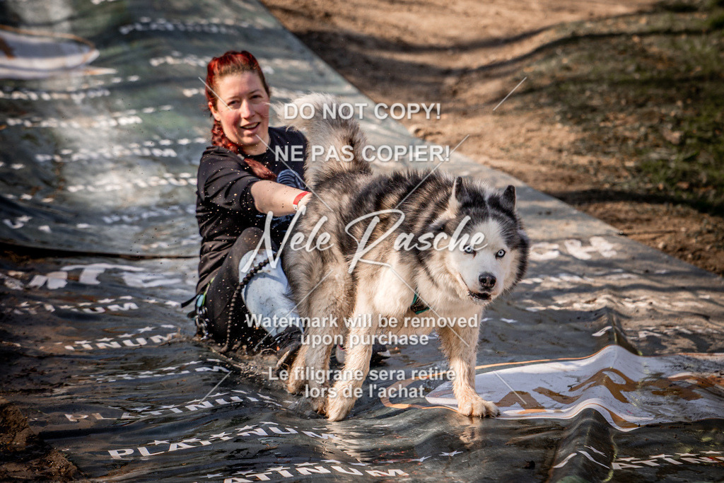 nelerasche_Hulsbeek_So1100-1130_186 | nelerasche