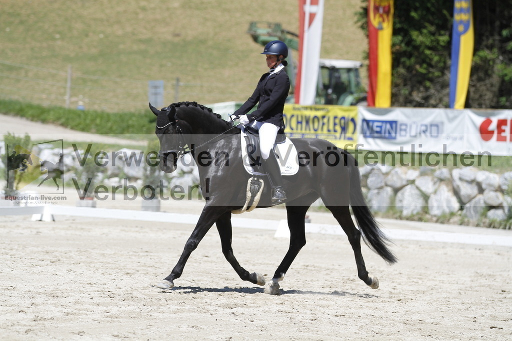 _MG_4734 | equestrian-live-com