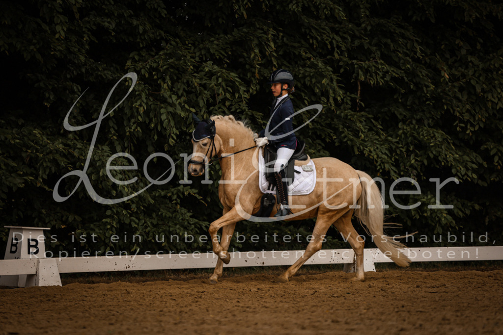 DoDrA00607 | Leoni Ertmer Photography - Realisiert mit Pictrs.com