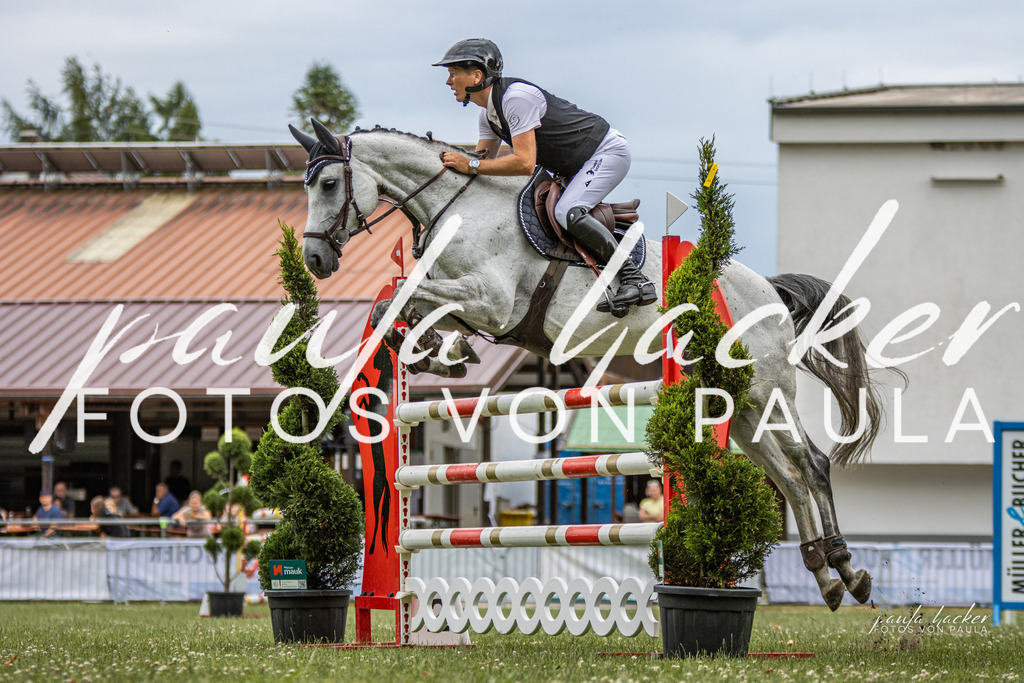 IMG_7372 | Erleben Sie dynamische Sport- und emotionale Tierfotografie in Süddeutschland mit Fotos von Paula. Spezialisiert auf Pferde- und Hundefotografie sowie Sportevents. Kontaktieren Sie mich für einzigartige und ausdrucksstarke Bilder Ihrer besonderen Momente. - Realisiert mit Pictrs.com