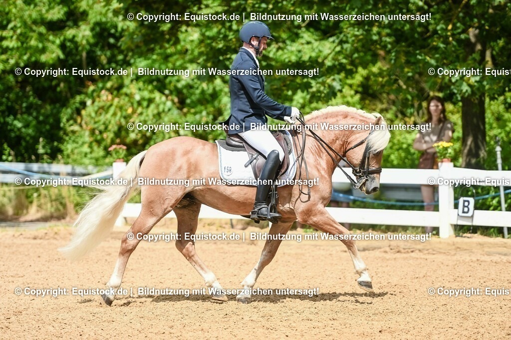 20230716_01_Dressurprüfung Kl.M_0170 | equistock