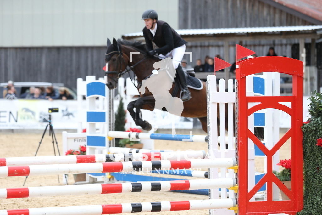 DL2Q5462 | Willkommen bei Brunnmayr - Design & Fotografie – Ihrem Spezialisten für Reitturniere und Pferdeveranstaltungen in Oberösterreich, Salzburg und Bayern! Seit über 17 Jahren sind wir leidenschaftlich dabei.