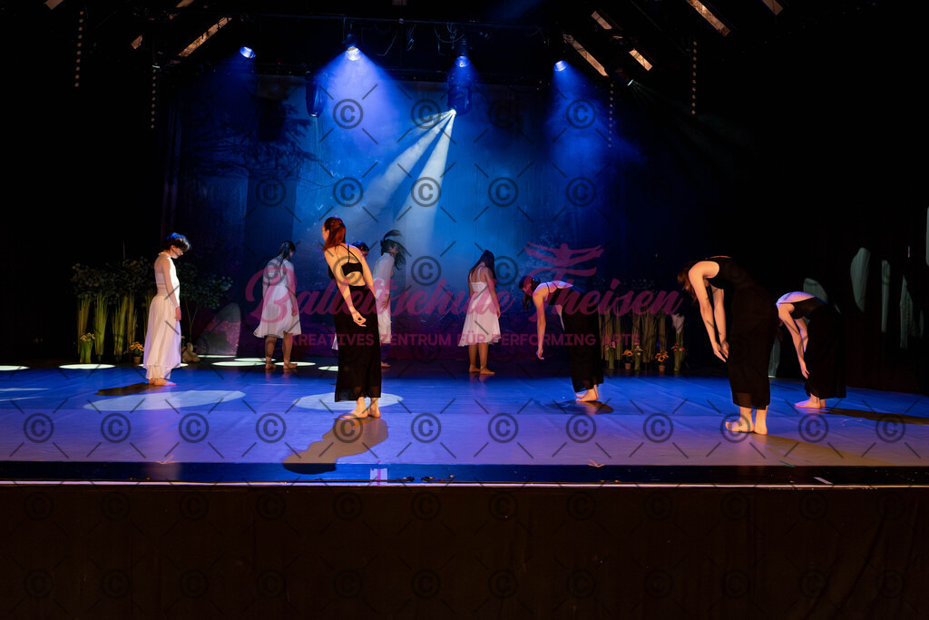 Ballettaufführung-160 | Bildershop Lem'n Entertainment - Realisiert mit Pictrs.com