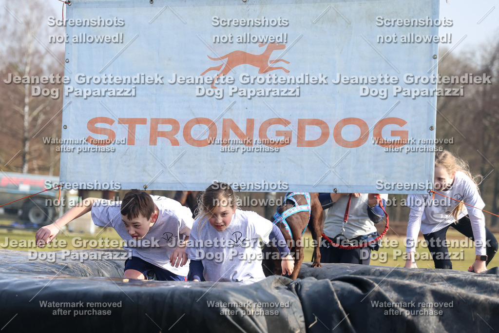 Dog Paparazzi - Strongdog North Mrz26-1631 | Dog Paparazzi Jeanette Grottendiek Fotografie & Videografie - Realisiert mit Pictrs.com