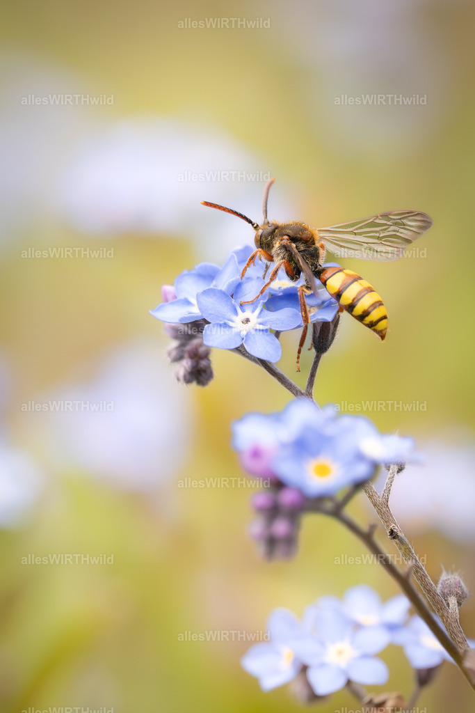 Auf geht_s_ | Entdecke die faszinierende Welt der Natur- und Wildlife-Fotografie von Daniel und Bärbel. Inspirierende Bilder von wilden Tieren und kleinen Naturwundern.