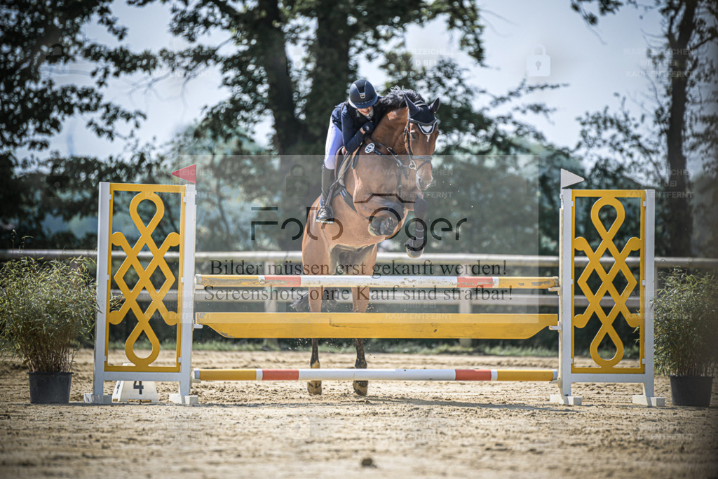 20240509-DOS_8188 | Entdecke hochwertige Reitturnierfotos von Foto Oger. Professionell, emotional und authentisch – jetzt Lieblingsmomente im Shop bestellen. - Realisiert mit Pictrs.com
