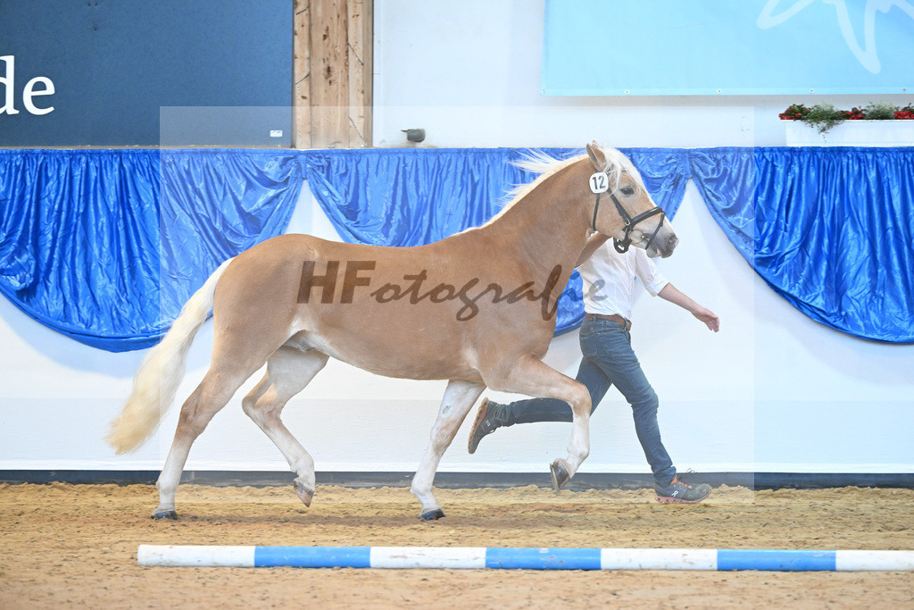 Kat-Nr. 12 Sterzing v. Steingold_Niedermair_60220692 | hf-fotografie - Realisiert mit Pictrs.com