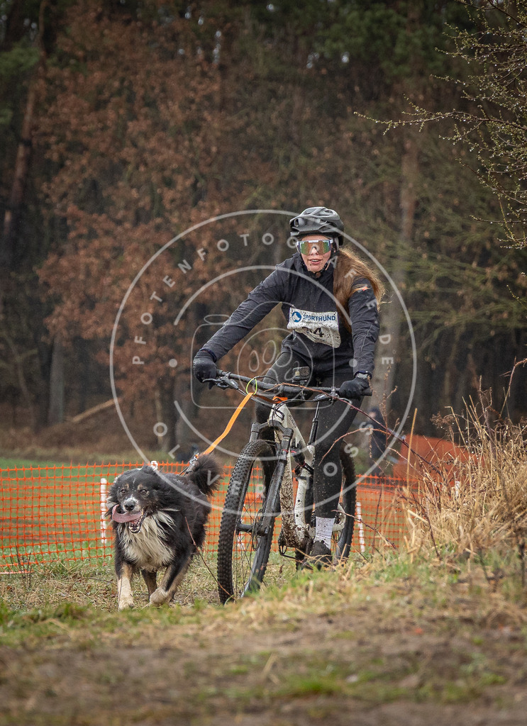 0L8A8993 | Hundefotografie, Tierfotograf, Pfotenfotografie, Fotoshooting Hund, Hunde Portrait, Hundesport, Hundeportraits, Heideshooting, Hunde, Sportfotograf, Hundefotograf, Turnierhundsport, THS,  - Realisiert mit Pictrs.com