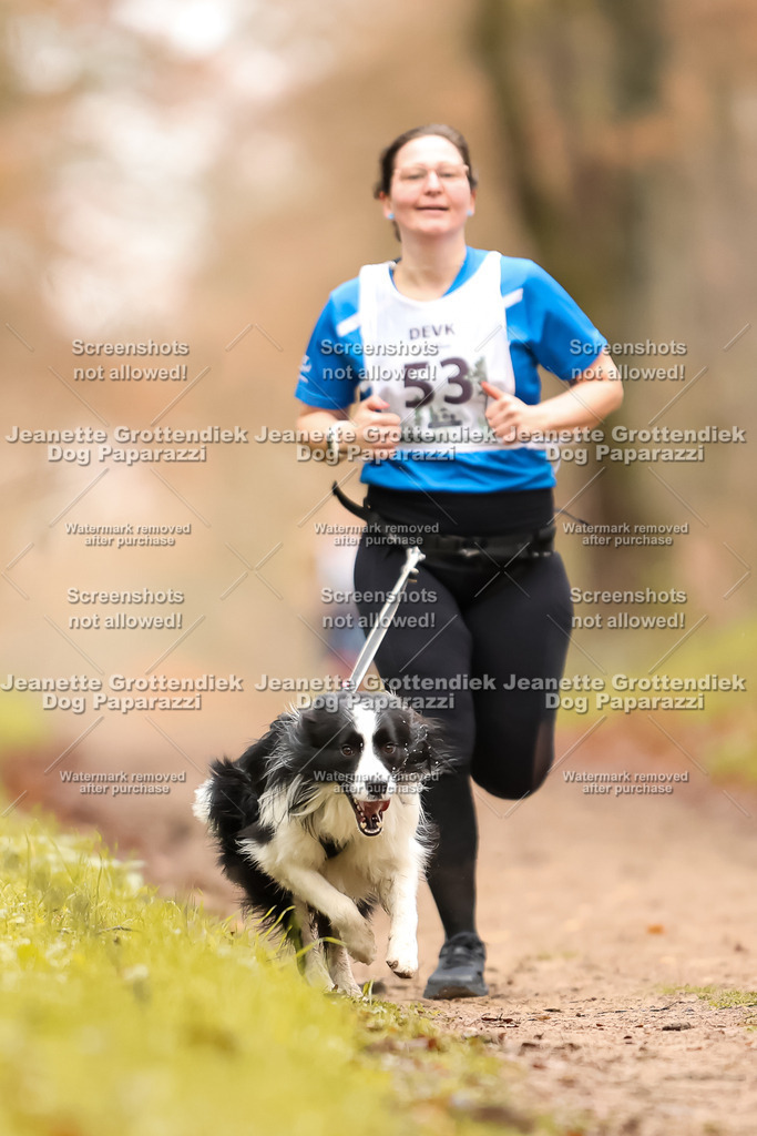 Dog Paparazzi - Speedhunter Mannheim  2025-150 | Dog Paparazzi Jeanette Grottendiek Fotografie & Videografie
