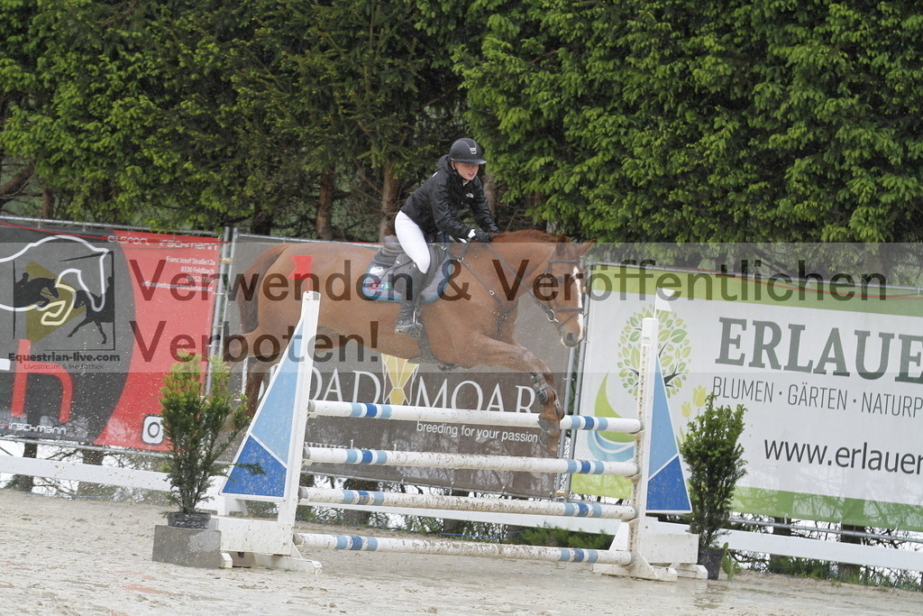 _MG_1315 | equestrian-live-com