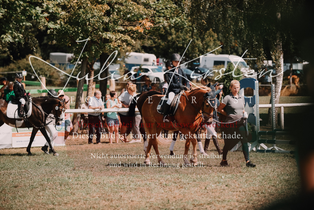 DSC_6027 | Pferde- und Turnierfotografie in Westsachsen. Pferdeportraits, Auftragszeichnungen und intuitive Kunst.