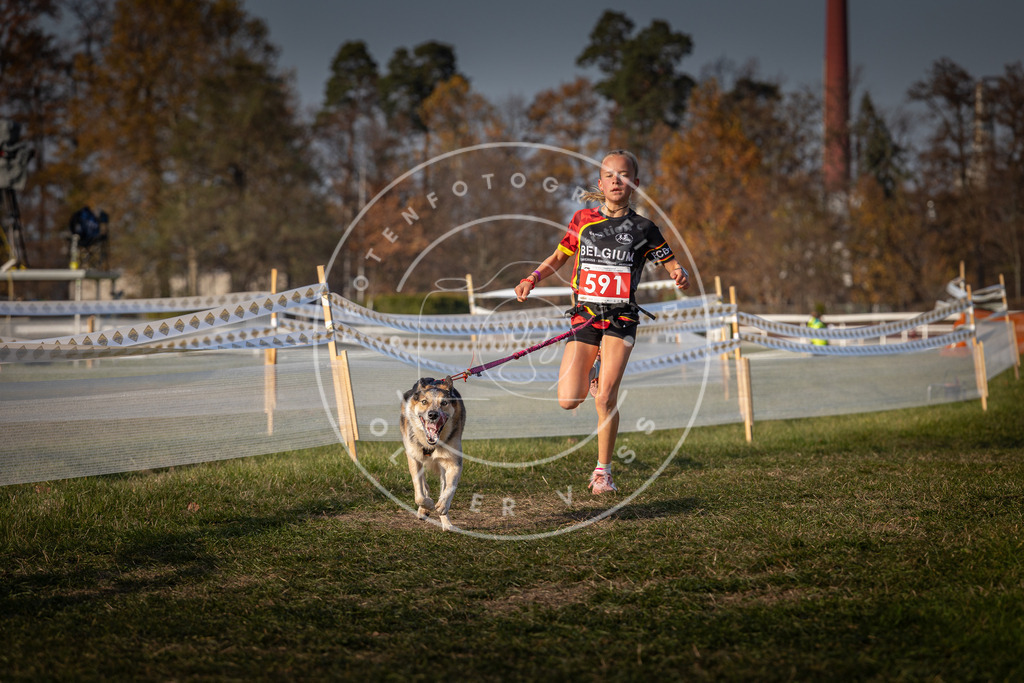 CaniXpix_0L8A9841 | Hundefotografie, Tierfotograf, Pfotenfotografie, Fotoshooting Hund, Hunde Portrait, Hundesport, Hundeportraits, Heideshooting, Hunde, Sportfotograf, Hundefotograf, Turnierhundsport, THS,  - Realisiert mit Pictrs.com