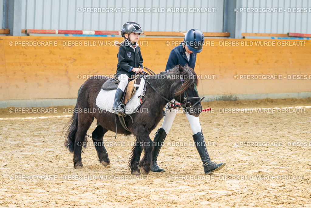 DSC00613 | Pferdegrafie