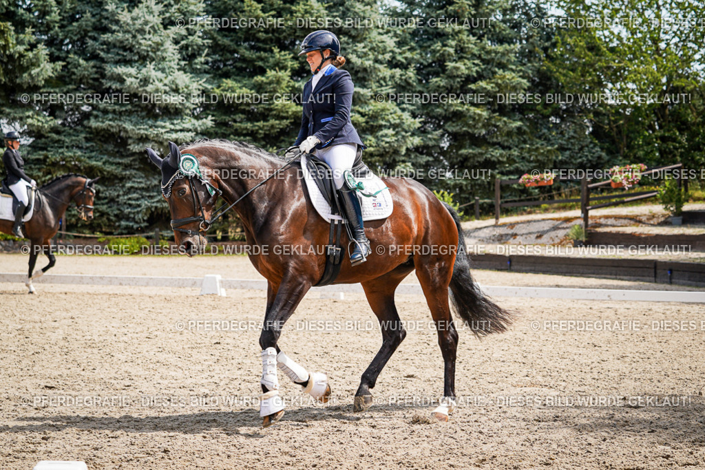 DSC09781 | Pferdegrafie