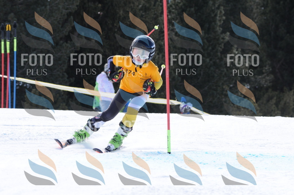 C9114 | holidayphoto