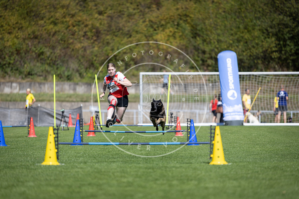 Pfotenfotografie_DV3A5669 | Hundefotografie, Tierfotograf, Pfotenfotografie, Fotoshooting Hund, Hunde Portrait, Hundesport, Hundeportraits, Heideshooting, Hunde, Sportfotograf, Hundefotograf, Turnierhundsport, THS,  - Realisiert mit Pictrs.com