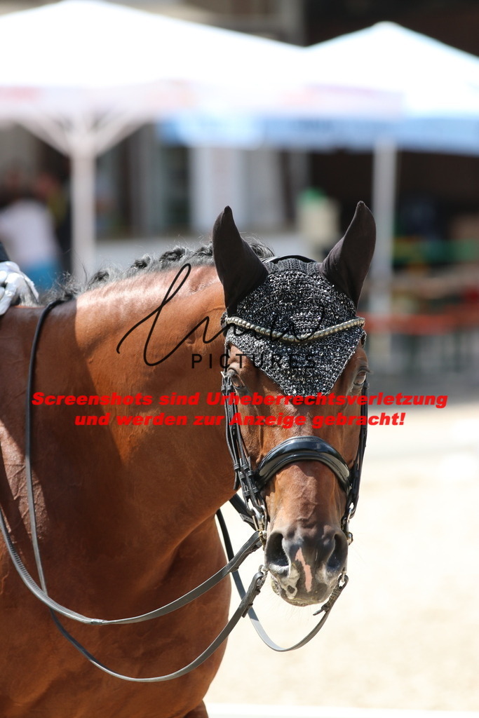 IMG_7575 | lmwpictures - Realisiert mit Pictrs.com