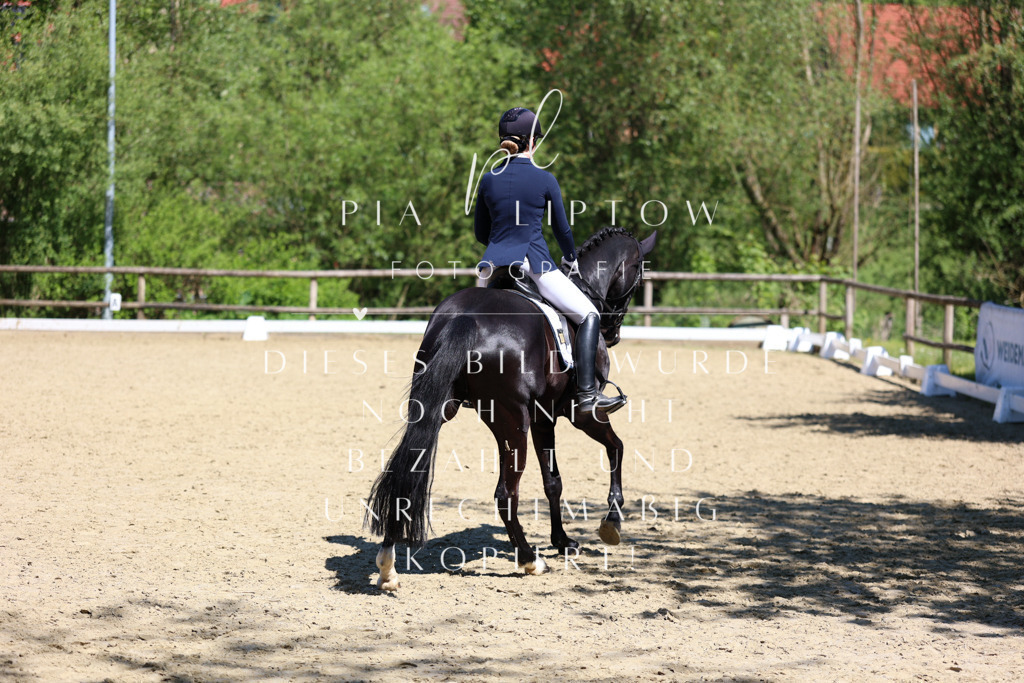 IMGS1942 | pl-fotografie