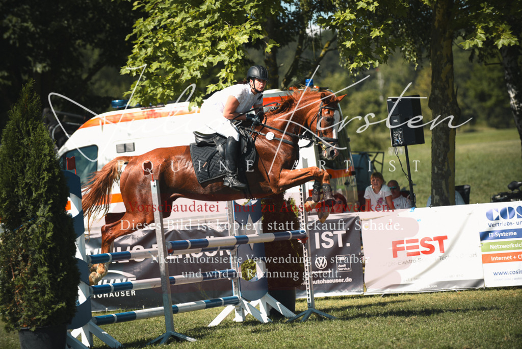 DSC_7130 | Pferde- und Turnierfotografie in Westsachsen. Pferdeportraits, Auftragszeichnungen und intuitive Kunst.