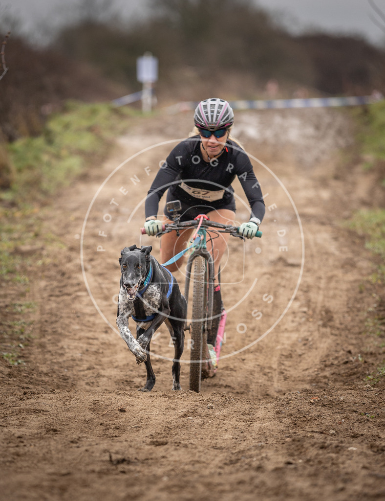 DV3A9560 | Hundefotografie, Tierfotograf, Pfotenfotografie, Fotoshooting Hund, Hunde Portrait, Hundesport, Hundeportraits, Heideshooting, Hunde, Sportfotograf, Hundefotograf, Turnierhundsport, THS,  - Realisiert mit Pictrs.com