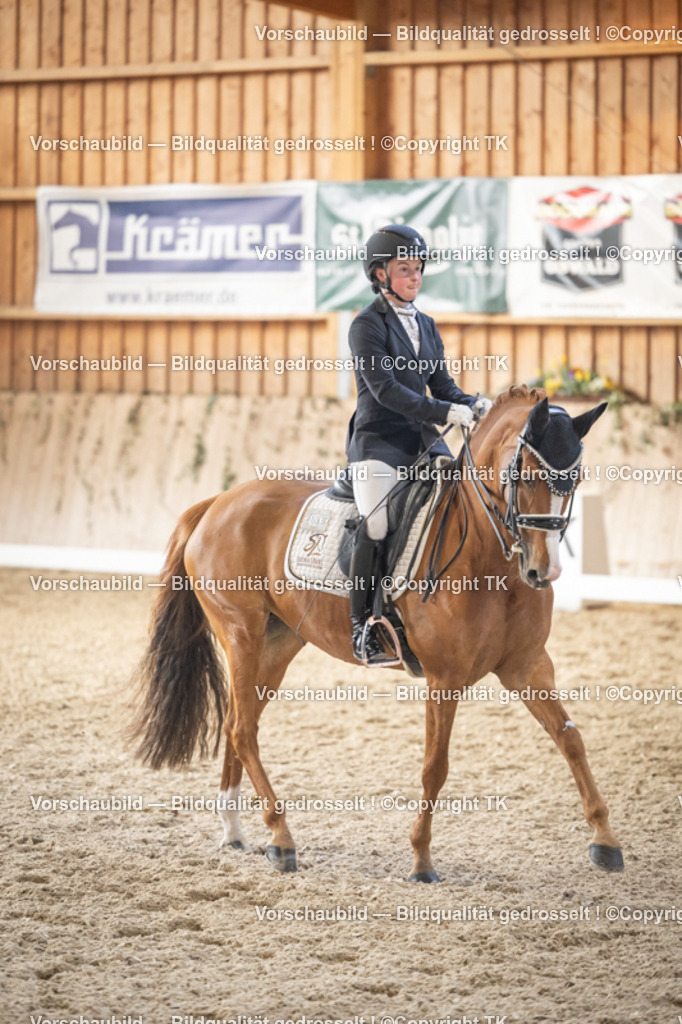 _D5A6118 | Emotionale Pferde- & People-Fotografie rund um Heidelberg, Leimen & Umgebung. Natürliche Fotos von Pferd, Mensch & Familie. Jetzt Termin sichern!