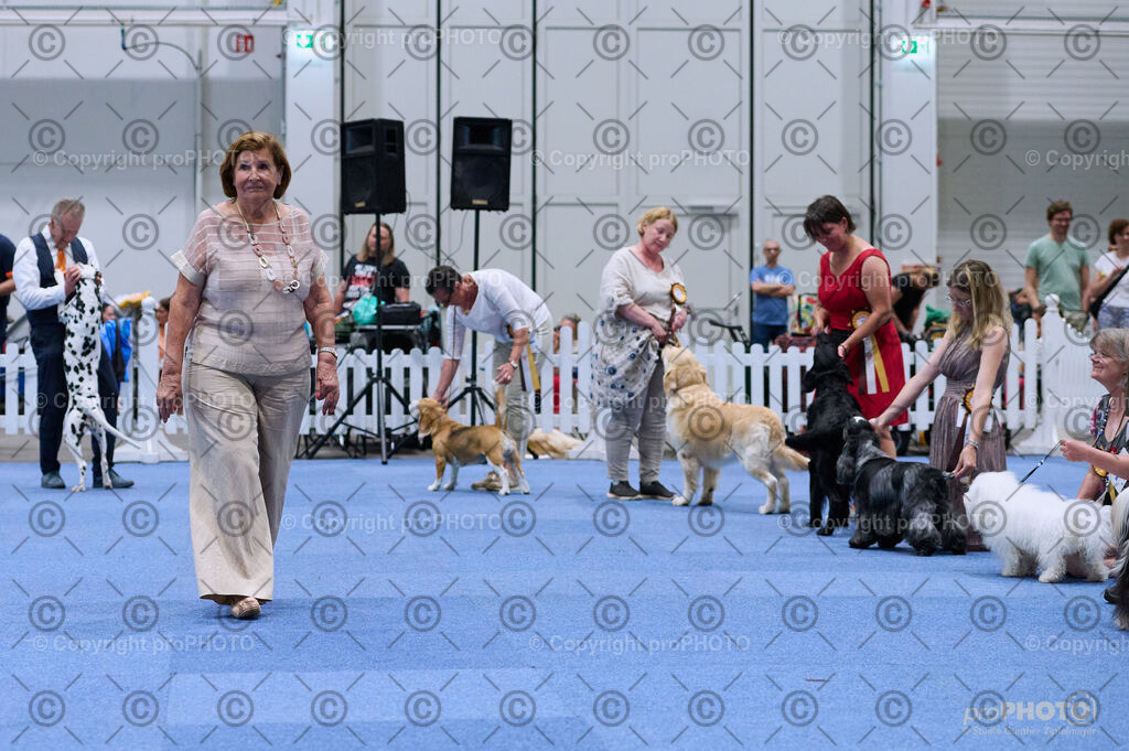 202406_ÖKV-IHA-Tulln24_DSC_3657 | proPHOTO - Realisiert mit Pictrs.com