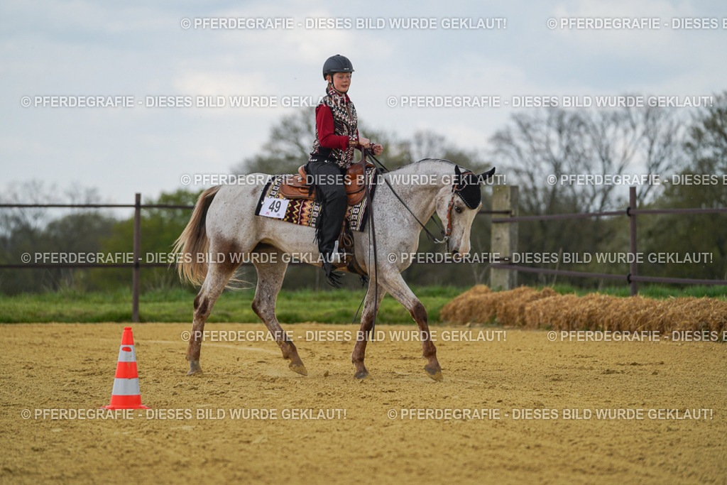 DSC06075 | Pferdegrafie