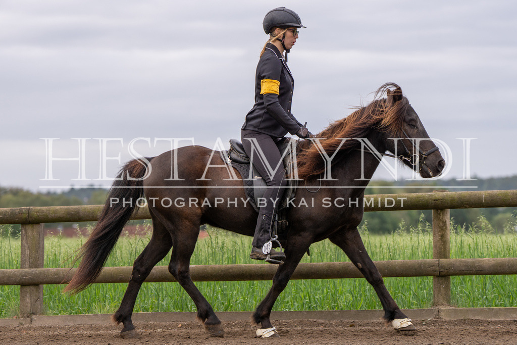 KAI00409 | Ihr sucht einen Fotografen für eure nächste OSI? Ich begleite auch euer Turnier für Islandpferde fotografisch.  - Realisiert mit Pictrs.com