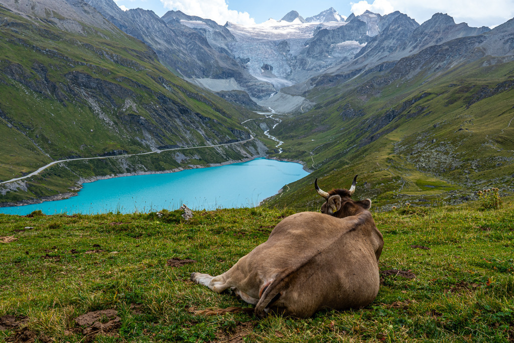 _DSC0238 | <meta name="keywords" content="Bergbilder, Hochzeitsfotografie, Actionshootings, Fotografiearbeiten, Berglandschaften, Naturfotografie">

 - Realisiert mit Pictrs.com