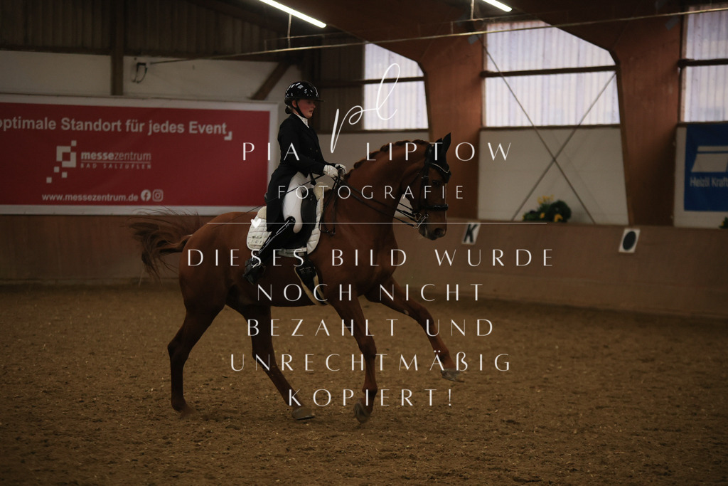 IMGT6402 | pl-fotografie