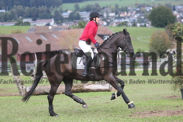 Altensteig_2024_Prfg.Nr.02_Geländepferdeprfg.Kl.A_Iris Hörmann_Diacontina Black Pearl (10) | Alle Fotos der Reiterjournal Fotografin Doris Matthaes im Reiterjournal Online-Fotoshop. - Realisiert mit Pictrs.com