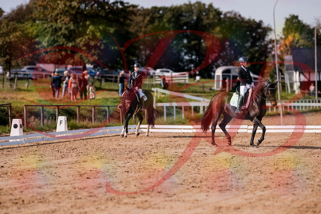 2026_10_03_Siefer-Hof_121404_Z81_15163657 | Professionelle Reitsport-, Turnier- und Eventfotografie von Robert Broda. Galerien mit ausgewählten und bearbeiteten Bildern direkt online ansehen und bestellen.