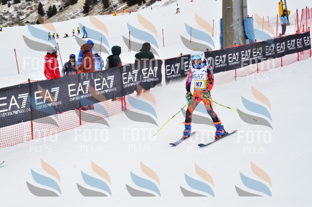 _ELE3892 | holidayphoto