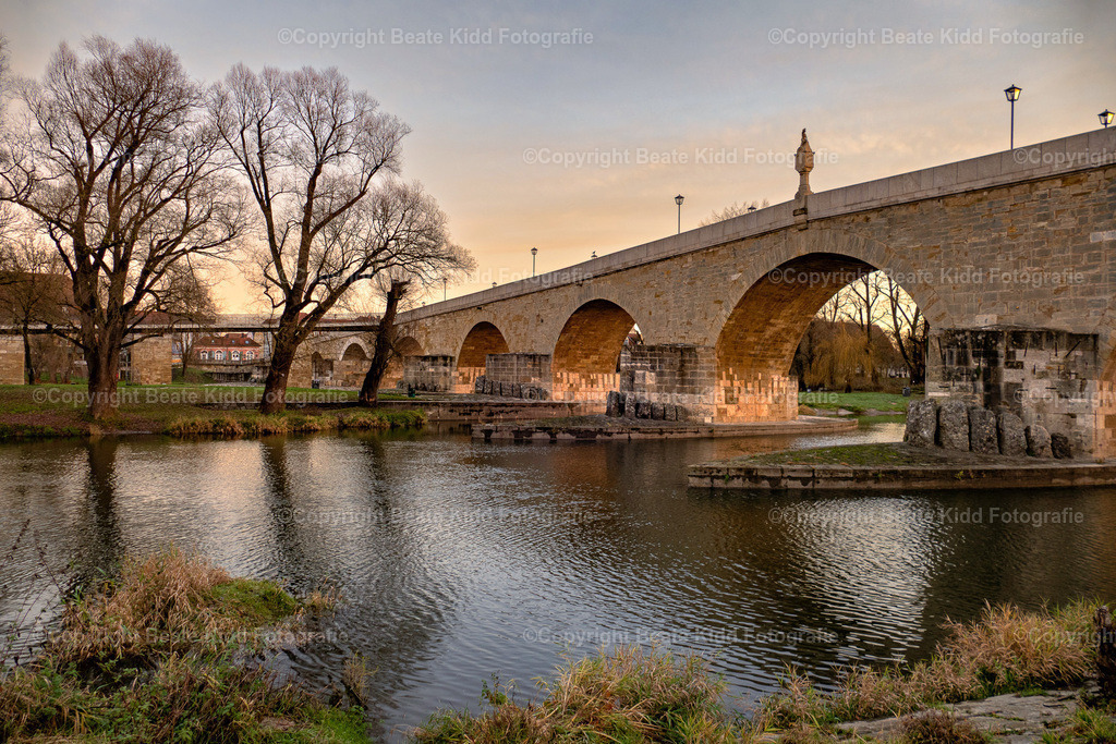 P2040846 | beatekidd-fotografie - Realisiert mit Pictrs.com