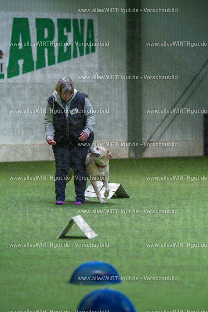 7R506323 | Professionelle Tierfotografie in Mönchengladbach von Daniel Wirth (allesWIRTHgut). Liebevolle & natürliche Bilder von Hunden & Katzen für unvergessliche Erinnerungen.