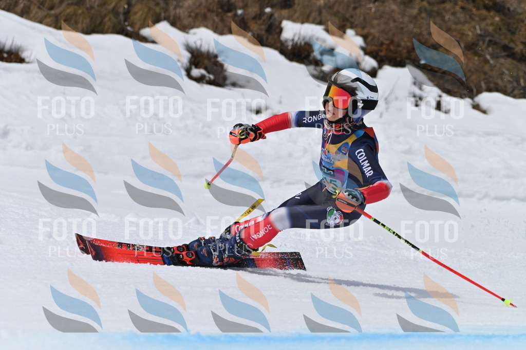 BGV_4187 | holidayphoto