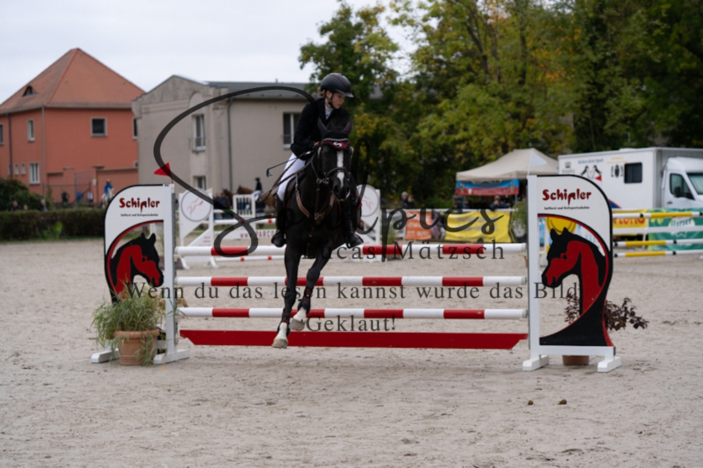 A7V08973 | Pferdefotograf