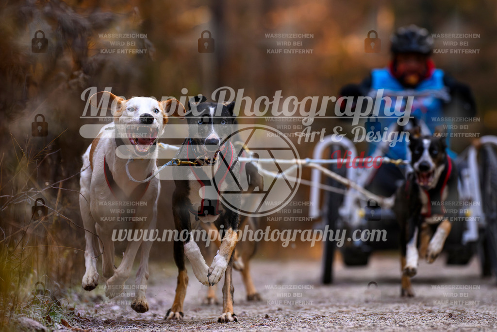 MompixPhotography_DM_AKDM_SO_2025_Wagen-69 | PayLife
